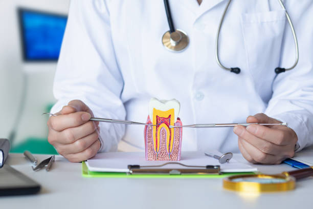 Best Weekend Emergency Dentist in Perezville, TX